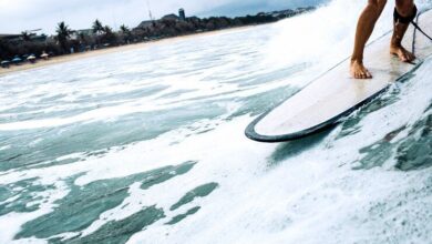 riding-the-kiwi-waves:-discover-the-best-surf-shops-in-new-zealand