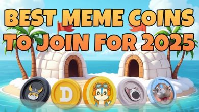 3-top-meme-coins-to-invest-before-the-next-bull-run