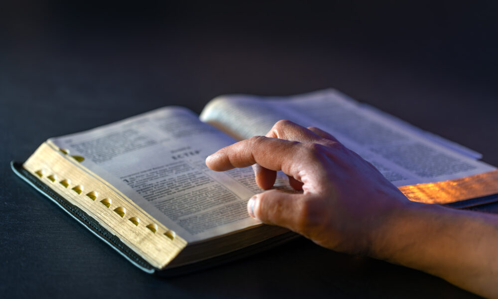 best-bluetooth-speakers-for-portable-sound-in-2025