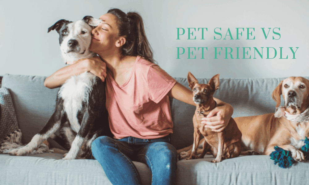pet-safe-vs-pet-friendly-ice-melt:-the-hidden-truth-of-these-misunderstood-labels